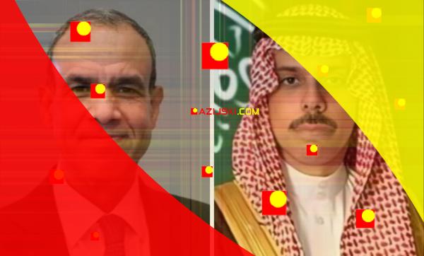 Saudijski i egipatski šefovi diplomatije razgovaraju telefonom o situaciji u Siriji i Gazi