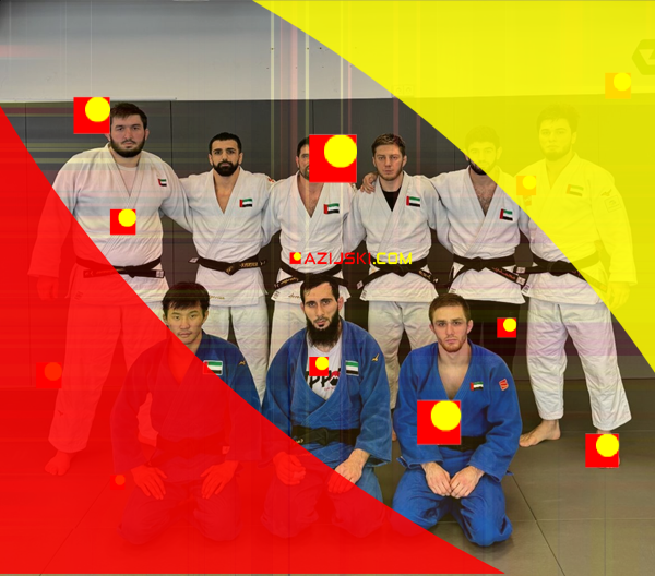 "Judo Emirati" dodaje 25 bodova u "utrci olimpijade"